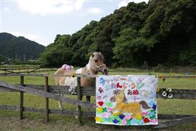 チャッピー34歳のお誕生会!