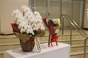 肥後銀行花