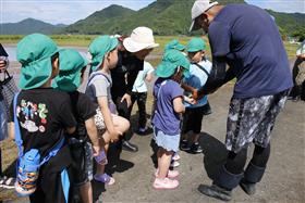 これがお米になるんだよ