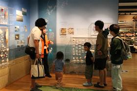 天草のいきものに関する展示も