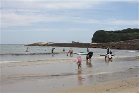 海水浴を楽しむ来場者