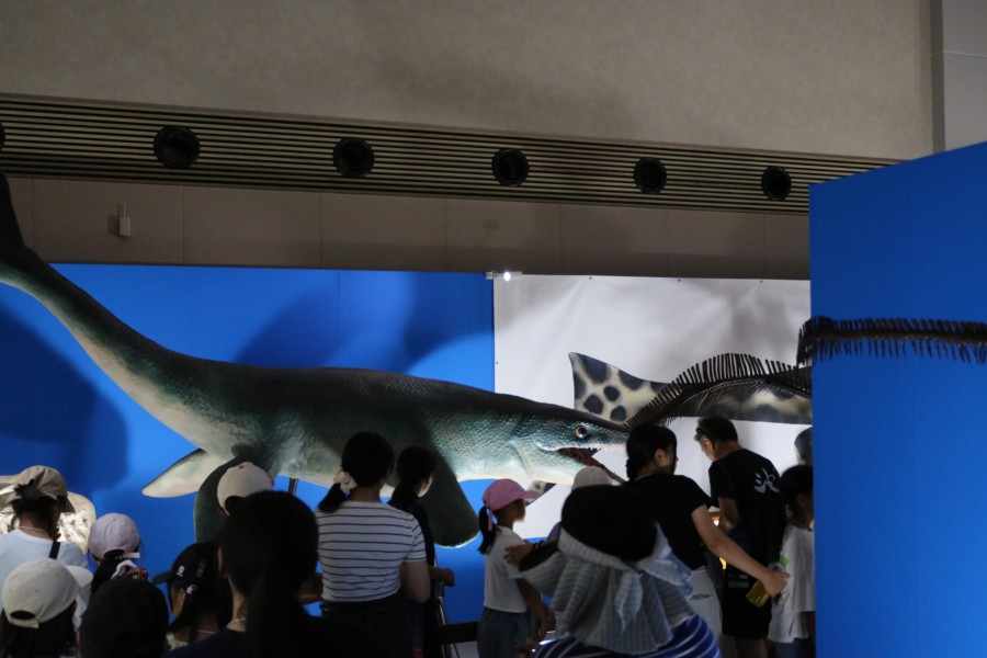 学芸員による展示物の解説を聞く参加者の画像