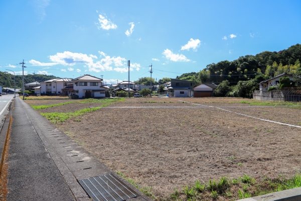 どんなコスモス畑になるかな?