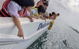イルカを見つけて大興奮のこどもたち