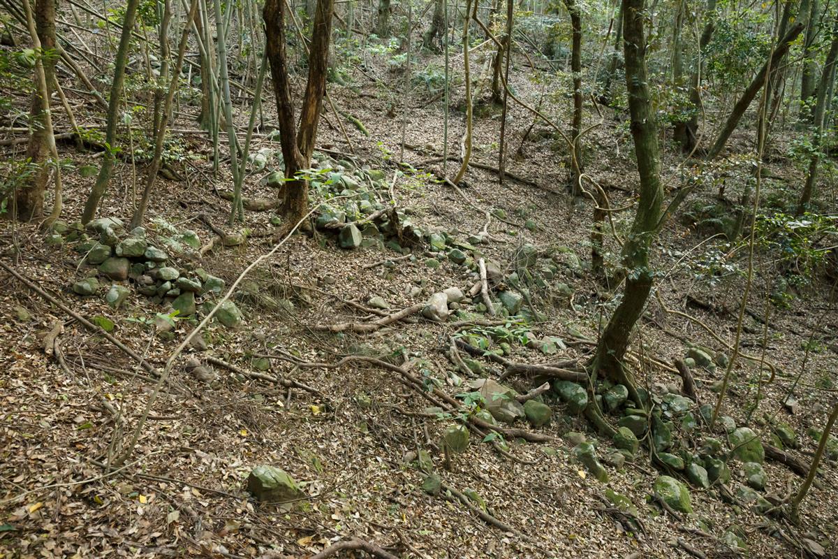 朝鳥古墳の画像