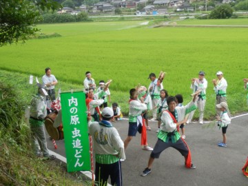 内の原虫追い