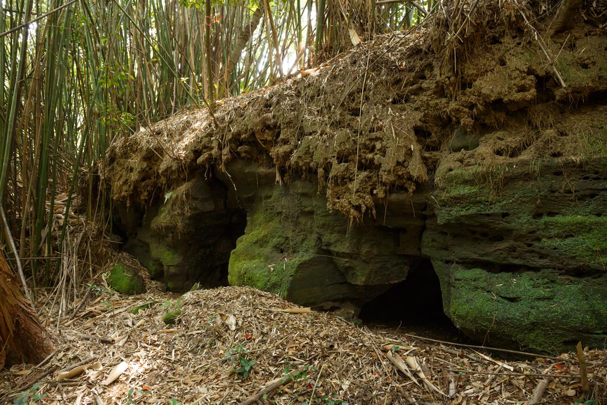 茂木根の横穴古墳の画像