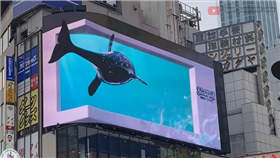 鴨川シーワールド 3D CM 新宿ビジョン３