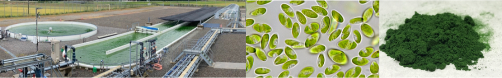 (株)ＫＪバイオの画像