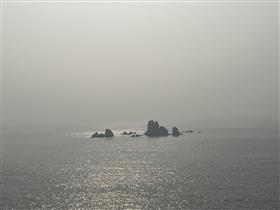 4.進出企業の声