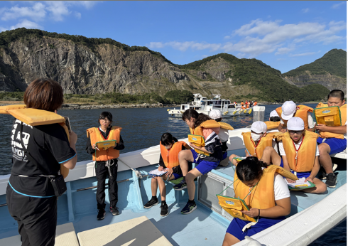 イルカウォッチングの画像